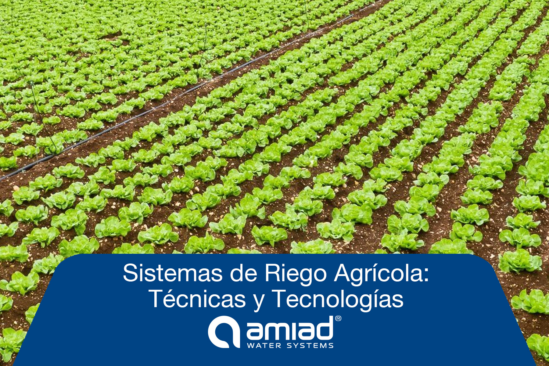 Sistema de Riego Agrícola: Técnicas y Tecnologías.